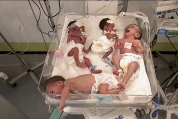 Quatre bébés dans un seul lit à la maternité Al-Helal Al-Emirati de Rafah.