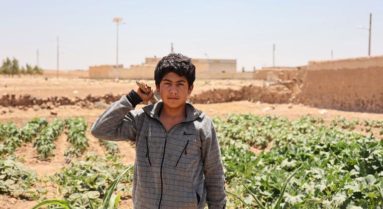 الفاو: الصراع في الشرق الأوسط يضع مزيدا من الضغوط على النظم الزراعية والغذائية الهشة