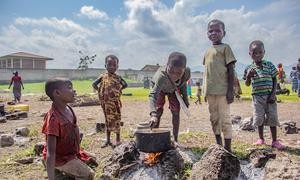 Displaced families in Kiwandja in Rutshuru territory in eastern DR Congo.