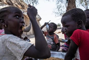 दक्षिण सूडान के जोंगलेई प्रान्त में कुछ बच्चे भोजन कर रहे हैं. विश्व खाद्य कार्यक्रम द्वारा यहाँ खाद्य असुरक्षा झेल रहे लोगों को राशन प्रदान किया जाता है.