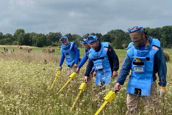 Саперы организации FSD, офис которой попал под удар в Харькове.