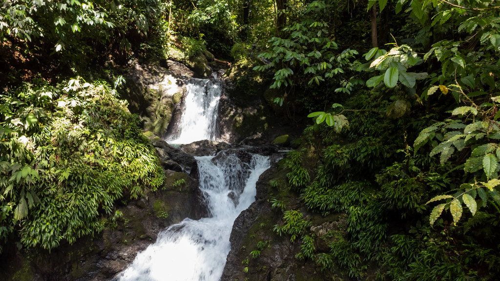 Uma cachoeira despenca sobre rochas cobertas de musgo em uma selva exuberante e verde na Reserva da Biosfera Tribugá-Cupica-Baudó, na Colômbia.