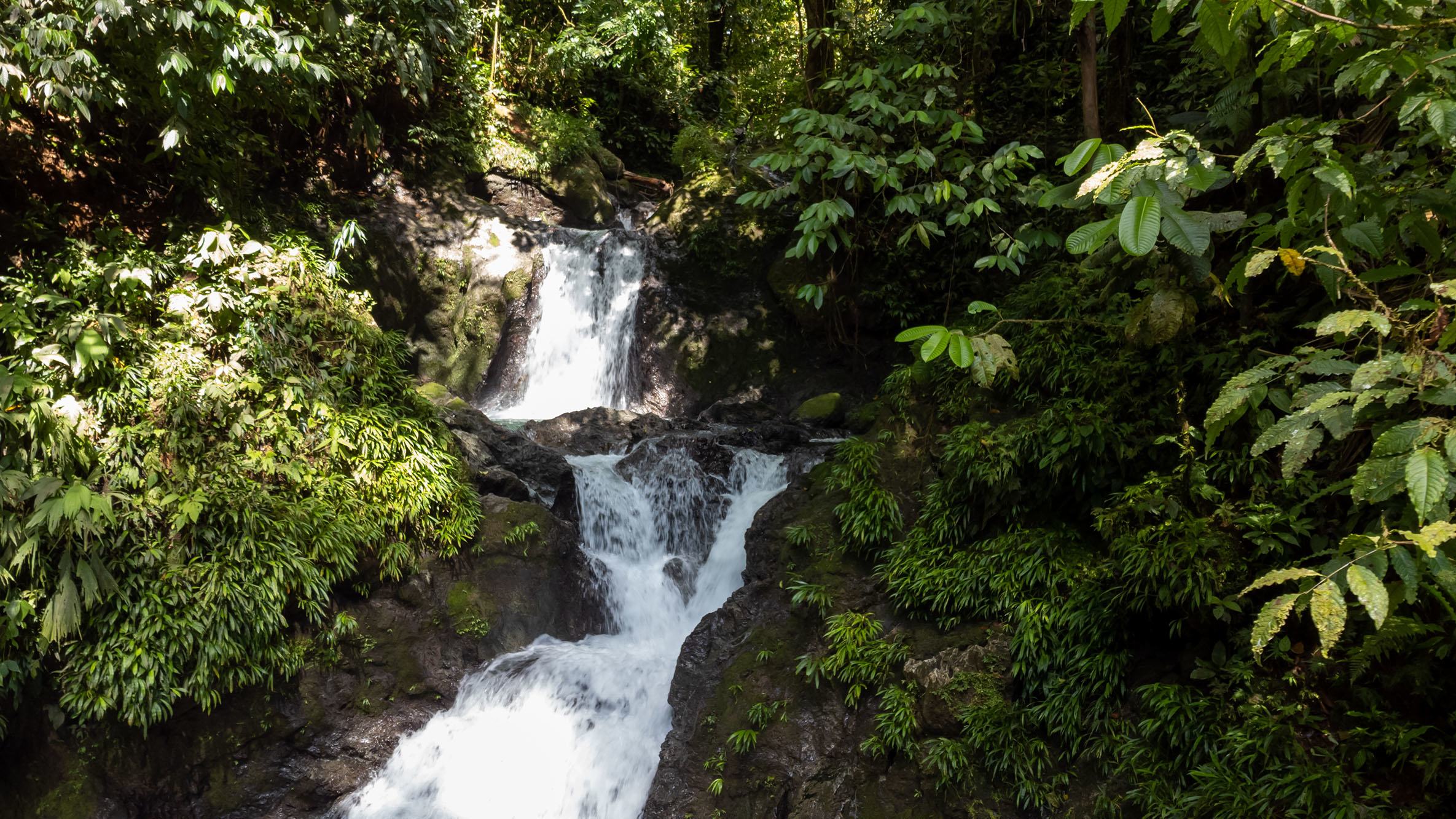 🎙️Journée des réserves de biosphère : apprendre à vivre autrement, en respectant la nature