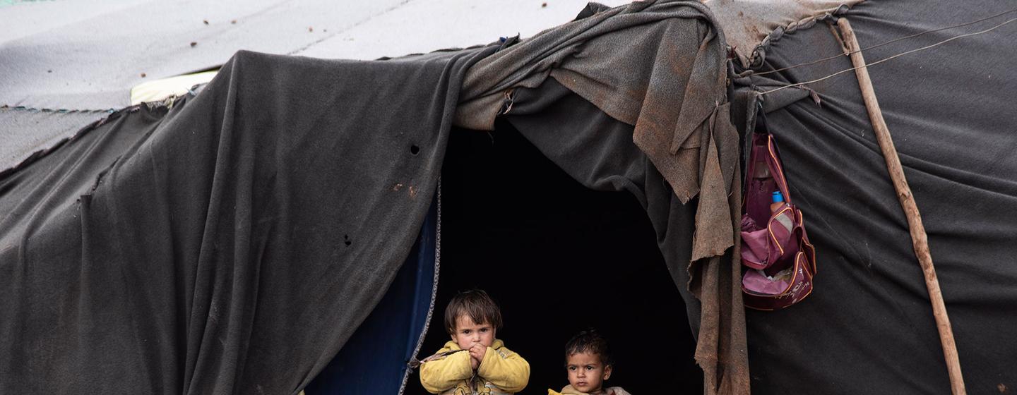 Plus de 16,7 millions de personnes en Syrie ont besoin d'une aide humanitaire.