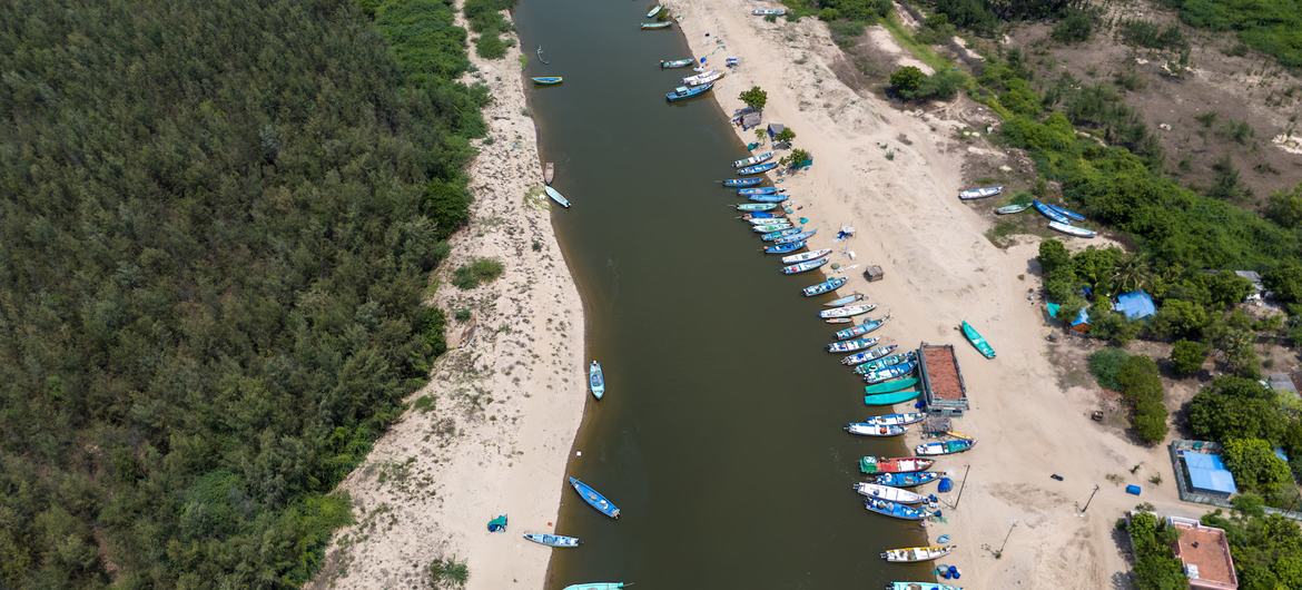 जलवायु परिवर्तन और समुद्री संसाधनों के अत्यधिक दोहन ने मत्स्य पालन में गिरावट में प्रमुख भूमिका निभाई है.