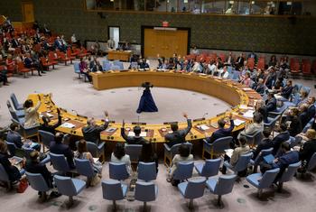 Sudan holds massive political ‘workshops’, embarks on new transition phase, Security Council hears