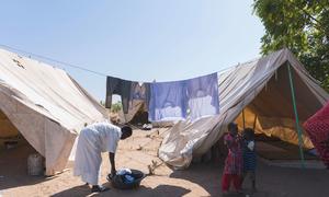 كثير من الأشخاص فروا من الصراع في محلية ود الماحي واستقروا في مخيم مؤقت في قرية شمر بالسودان.