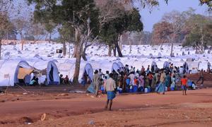 A May 2009 photo of an IDP camp outside the town of Vavuniya in northern Sri Lanka. Vavuniya was the site of an alleged massacre of more than 200 Tamil civilians by the army in 1985.