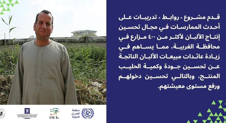 مشروع منظمة العمل الدولية في مصر لتطوير قطاع الألبان.