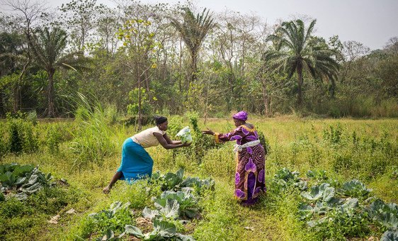 Ces « héros » qui transforment les systèmes alimentaires