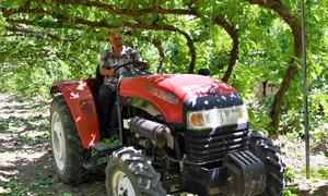 Благодаря усердному труду, Эдик Арутюнян вырастил сад своей мечты.