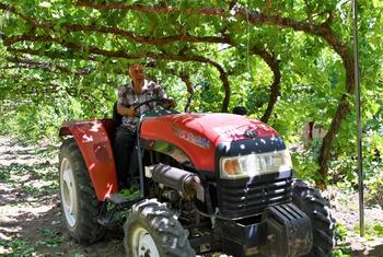 Благодаря усердному труду, Эдик Арутюнян вырастил сад своей мечты.