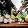 Vegetables are prepared for an agricultural training session for farmers in Taita, Kenya.