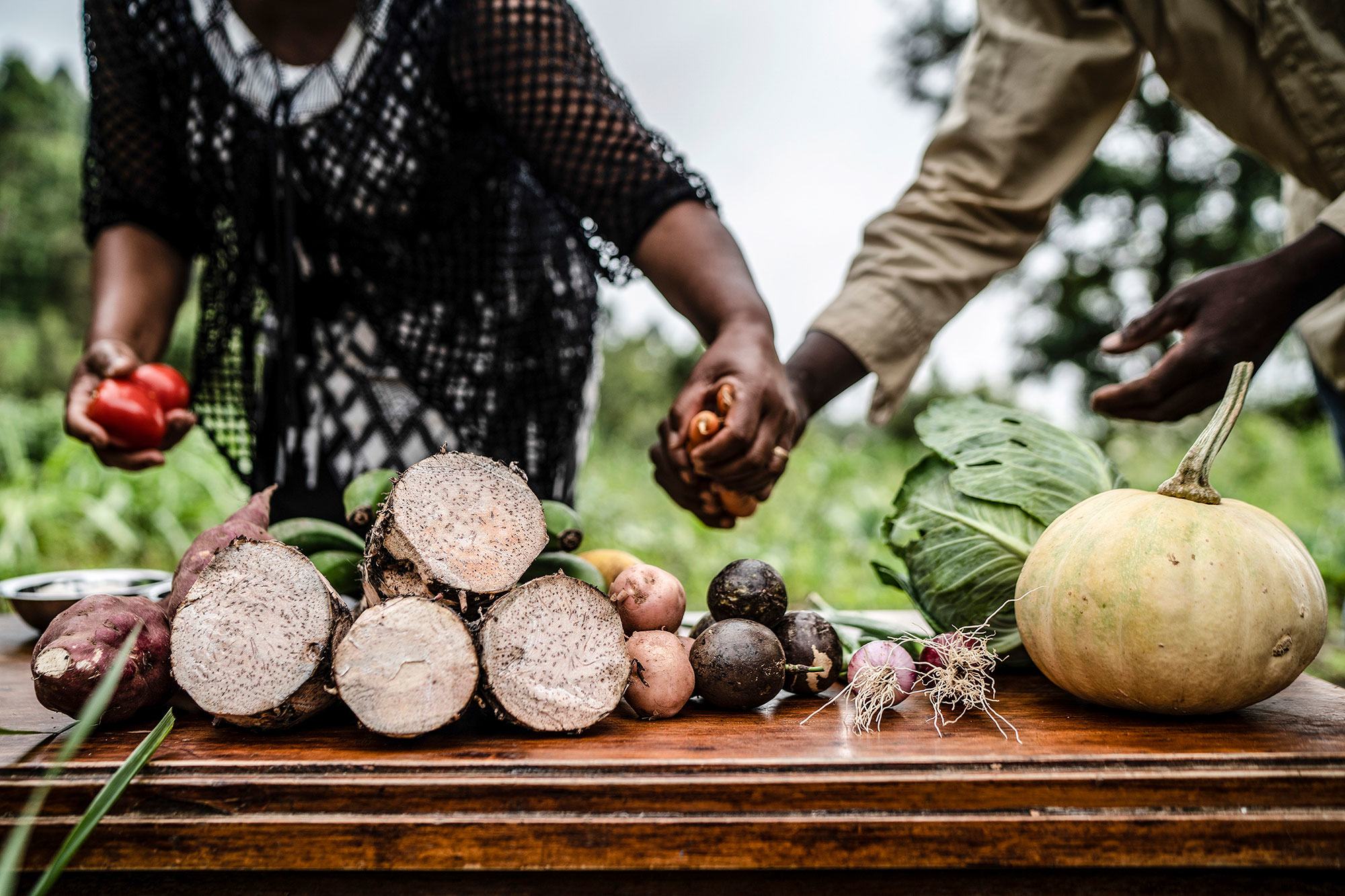 在肯尼亚的塔伊塔，人们为一节农业培训课程准备蔬菜。