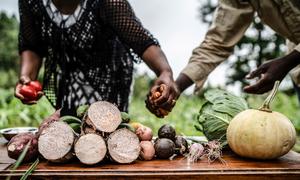 Vegetables are prepared for an agricultural training session for farmers in Taita, Kenya.
