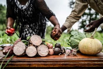 在肯尼亚的塔伊塔，人们为一节农业培训课程准备蔬菜。