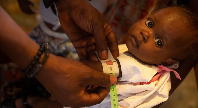 Haiti: ‘üçlü kolera tehdidi’, yetersiz beslenme ve şiddet gençlerin hayatını tehlikeye atıyor |

 Nguncel.com