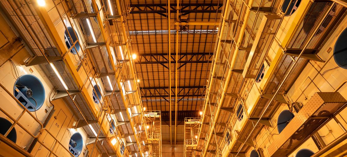 Produção de papel e celulose no Brasil