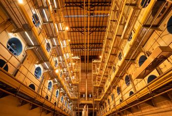 Produção de papel e celulose no Brasil