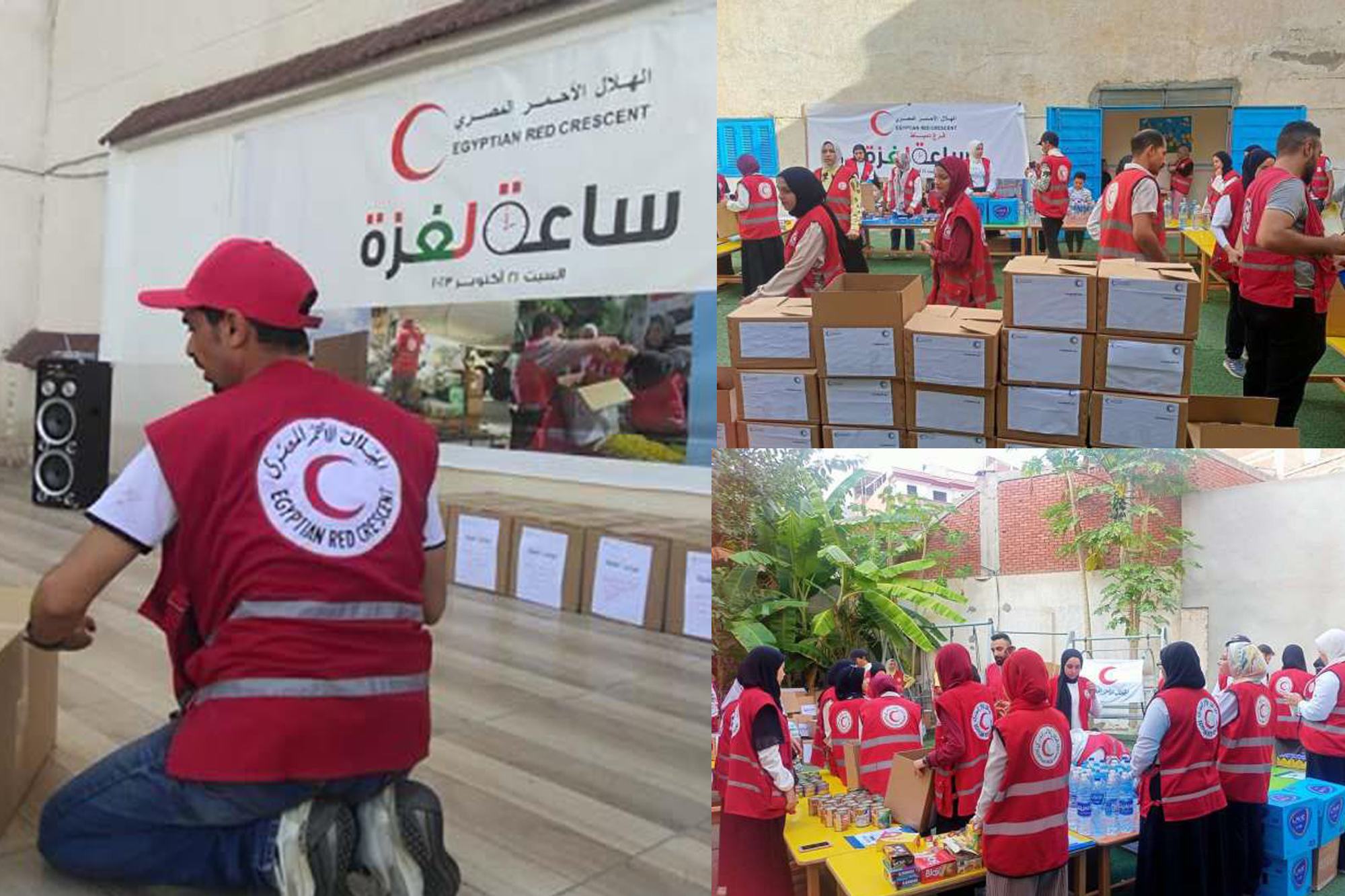 حملات الإغاثة الطبية والإنسانية لأهالي غزة في محافظات مصر.