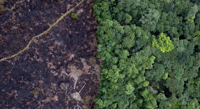 Landmark climate change hearings represent largest ever case before UN world court