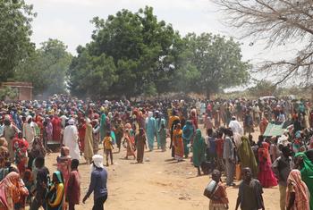 Violence across Darfur has displaced tens of thousands of families. Pictured here, refugees from West Darfur arrive in Chad.