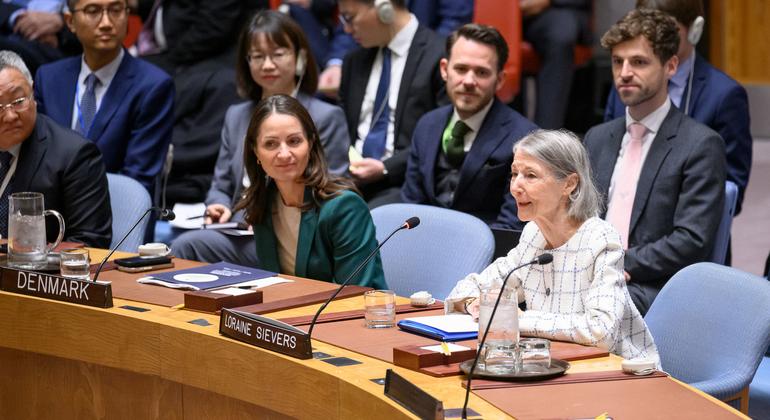 联合国安理会秘书处司前司长洛兰·西弗斯向安理会会议通报安理会的工作方法。