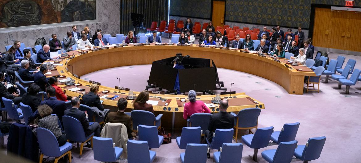 A wide view of the Security Council meeting on working methods of the Security Council.