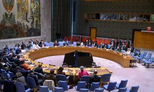A wide view of the Security Council meeting on working methods of the Security Council.
