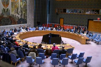 Заседание Совета Безопасности ООН. 
