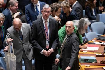 Conselho de Segurança se reúne sobre a situação no Oriente Médio, incluindo a questão palestina