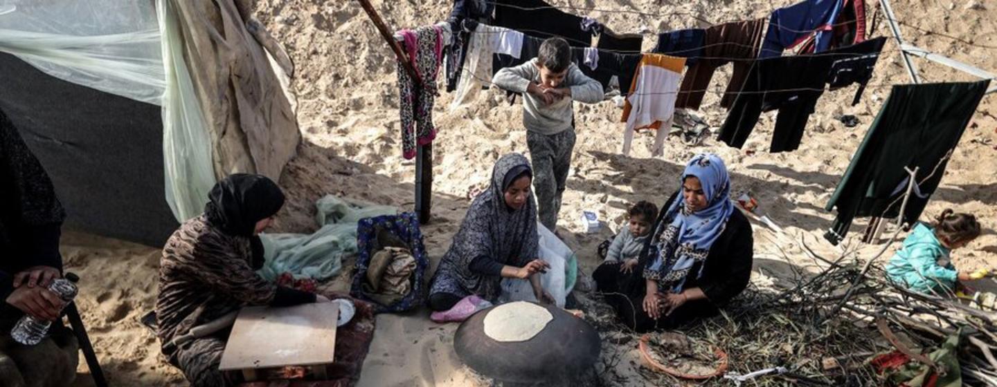 Une famille palestinienne déplacée qui vit actuellement dans un camp de fortune dans le sud de Gaza, sans eau, sans électricité et sans nourriture suffisante.
