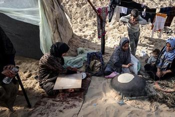 عائلة فلسطينية نازحة تقيم في مخيم مؤقت جنوب غزة دون ما يكفي من الماء أو الكهرباء أو الطعام.