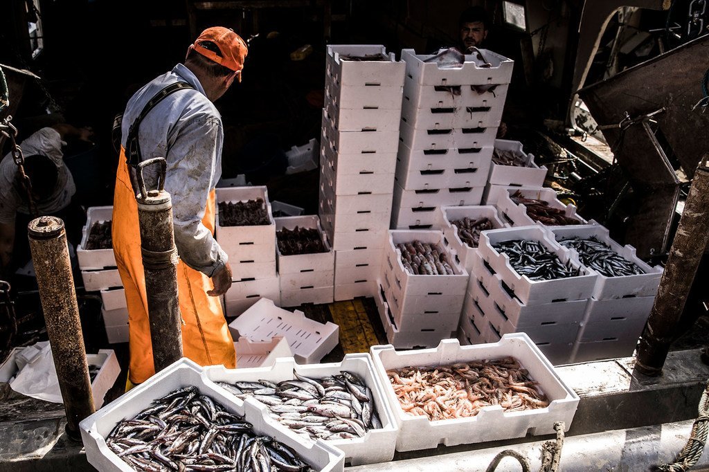 La pêche illicite représenterait jusqu’à 26 millions de tonnes de poissons par an, soit 15 % des captures mondiales.