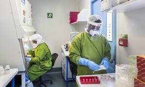La Organización Mundial de la Salud ayuda a los países a reforzar su capacidad de hacer pruebas de COVID-19.