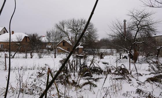Ukraina: Spiral musim dingin yang didokumentasikan oleh badan-badan PBB