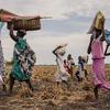 من الأرشيف: تسببت موجات القتال في نزوح العائلات في ولاية أعالي النيل بجنوب السودان