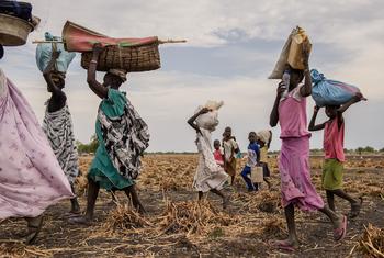 在南苏丹上尼罗州，一波又一波的战斗引发大规模流离失所。