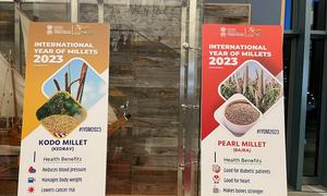 Millets are a group of small-seeded grasses grown mainly in dry zones of Asia and Africa.