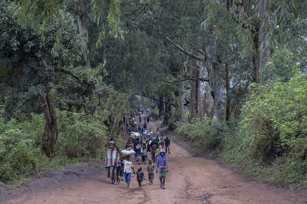 Des personnes déplacées par la violence dans la province de l'Ituri, dans l'est de la République démocratique du Congo.