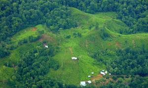 Cultivos de coca en Cauca, Colombia, imagen tomada desde un satélite.