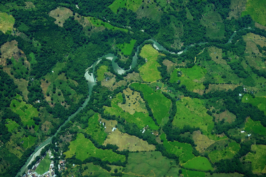 一张卫星图像显示了哥伦比亚考卡种植的古柯作物。