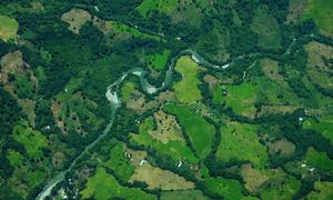 Una imagen satelital muestra cultivos de coca en Cauca, Colombia.