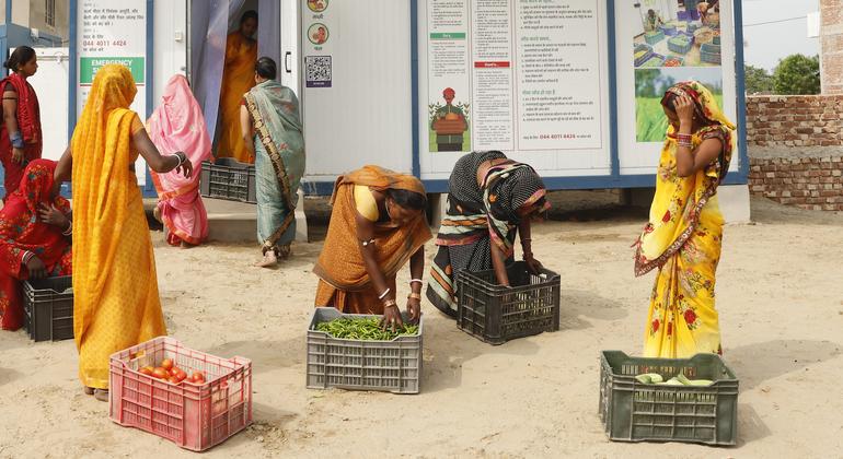 बिहार में यूएनडीपी के सहयोग से स्थापित सौर ऊर्जा संचालित कोल्ड स्टोरेज में अपनी सब्जियों का भंडारण करतीं महिला किसान.
