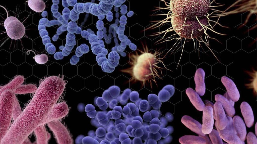 Ilustración en 3D de diversas bacterias resistentes a los antibióticos, incluyendo cocos y bacilos, sobre un fondo negro con un patrón de cuadrícula hexagonal.