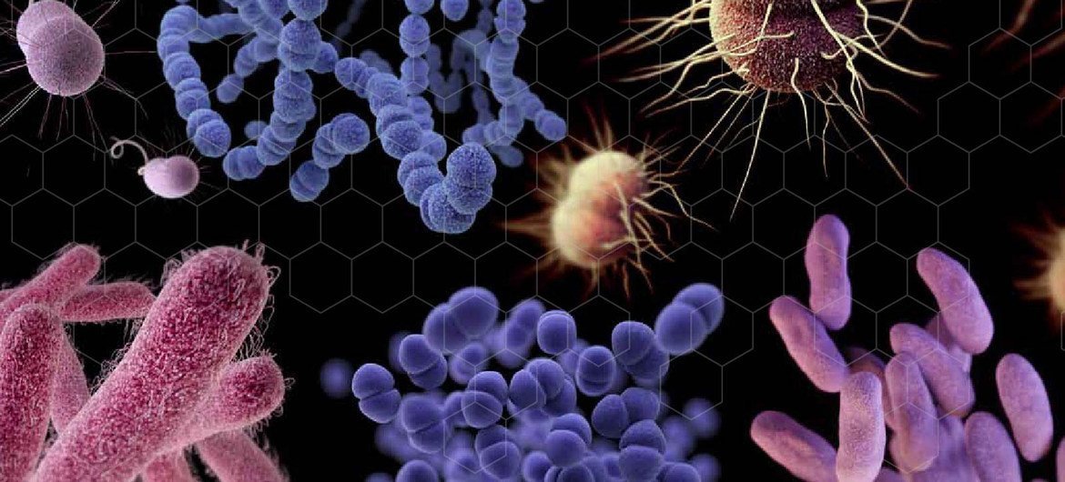 Los antimicrobianos son bacterias, virus, hongos, parasitos y otros microbios que han desarrollado una resistencia a los antibióticos.  