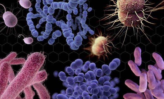 A escassez de novos tratamentos para doenças graves deixou as pessoas perigosamente expostas às bactérias mais perigosas do mundo