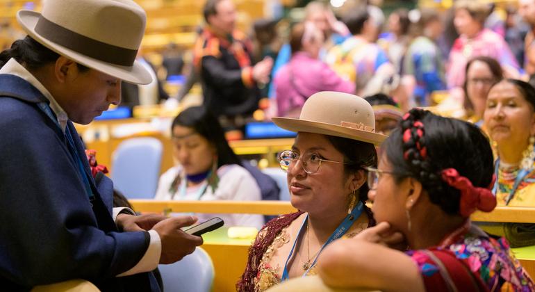 Vista de um dos participantes durante a abertura da 23ª Sessão do Fórum Permanente sobre Questões Indígenas.