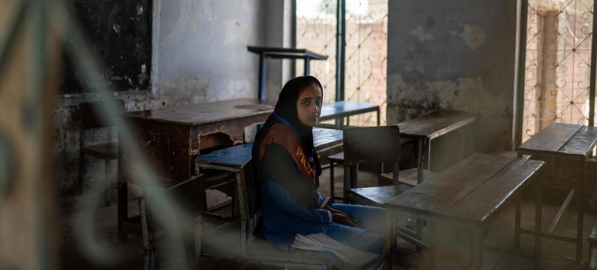 media:entermedia_image:78bab3d3-1a50-4812-a8d1-599d6c624602