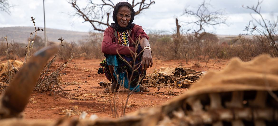 A seca devastou a terra no sul da Etiópia e é a principal causa de mortes de gado